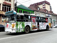 Asian Fusion � ������� � ������� ������ ����������� � ��� ��������� �����!